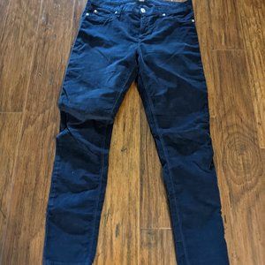 Hudson Nico Midrise Blue Corduroy Skinny Jeans Sz 29